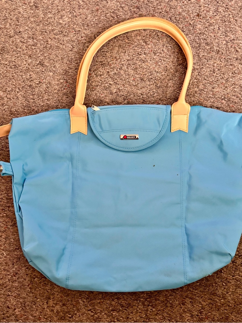 Delsey travel, carry on ,or  beach bag